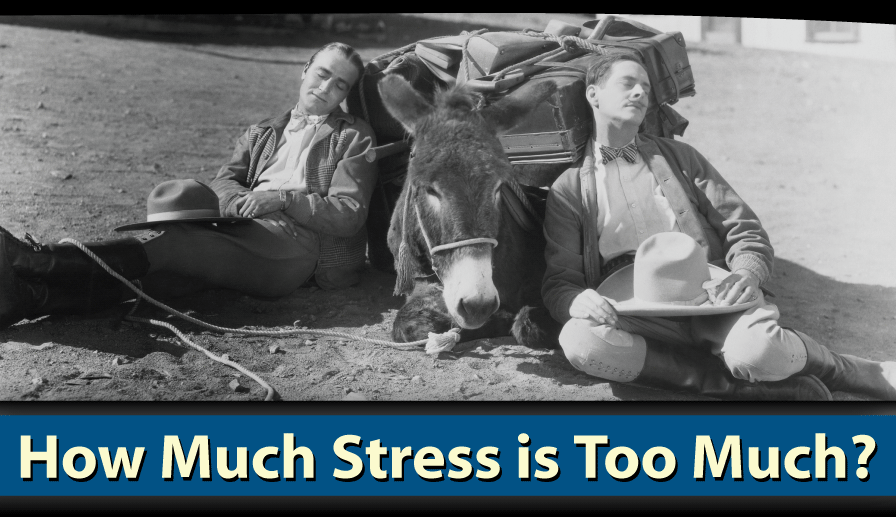 How Much Stress is Too Much