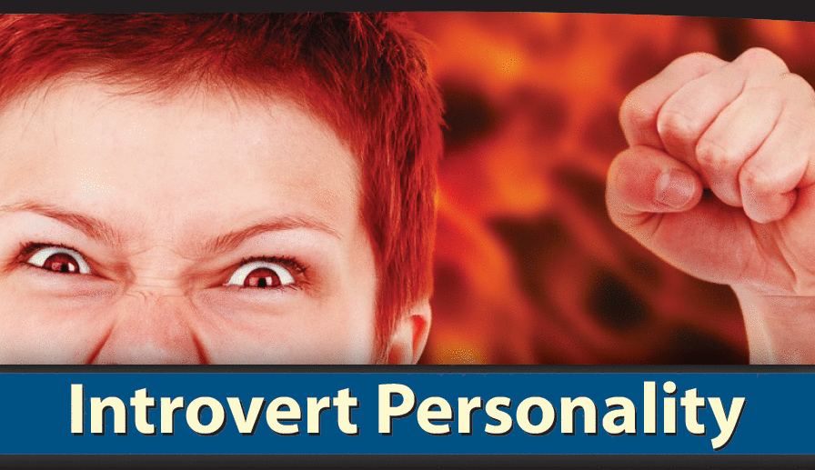 AM208.0: Introvert Personality
